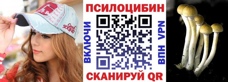 MEGA ТОР  где купить наркоту  Мезень  Галлюциногенные грибы мицелий 
